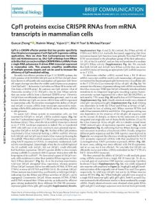 nchembio.2410-Cpf1 proteins excise CRISPR RNAs from mRNA transcripts in mammalian cells