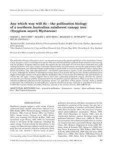 Any which way will do – the pollination biology of a northern Australian  rainforest canopy tree (Syzygium sayeri- Myrtaceae)