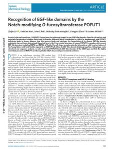 nchembio.2381-Recognition of EGF-like domains by the Notch-modifying O-fucosyltransferase POFUT1