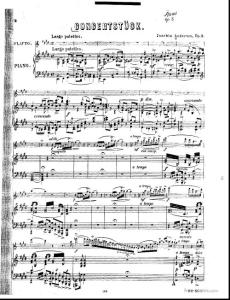 andersen-joachim-concert-piece-for-flute-and-orchestra-op-3-23294.pdf.pdf
