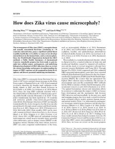 Genes Dev.-2017-Wen-849-61-How does Zika virus cause microcephaly