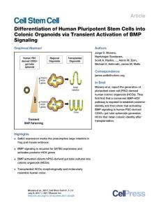 Cell Stem Cell-2017-Differentiation of Human Pluripotent Stem Cells into Colonic Organoids via Transient Activation of BMP Signaling