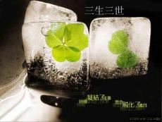 超級精美PPT作品——love愛你三生三世【精品】 .ppt