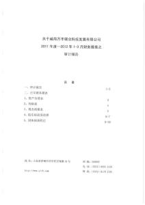 關于威海萬豐鎂業科技發展有限公司2018年度-2018年1-3月份財務報表之審計報告.pdf