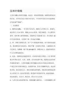 玉米叶夜蛾发生与防治