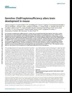 nn.4592-Germline Chd8 haploinsufficiency alters brain development in mouse