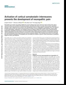 nn.4595-Activation of cortical somatostatin interneurons prevents the development of neuropathic pain