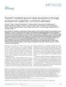 ncb3554-Pramel7 mediates ground-state pluripotency through proteasomal–epigenetic combined pathways