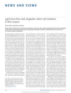 ncb3567-Lgr5 joins the club of gastric stem cell markers in the corpus