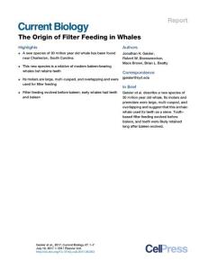 Current-Biology_2017_The-Origin-of-Filter-Feeding-in-Whales