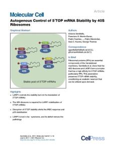 Molecular-Cell_2017_Autogenous-Control-of-5-TOP-mRNA-Stability-by-40S-Ribosomes