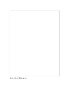 精美3D骨骼肌解剖圖譜分析