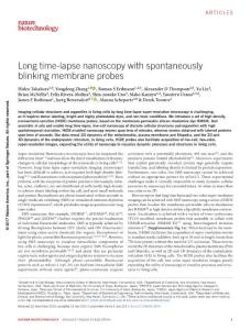 nbt.3876-Long time-lapse nanoscopy with spontaneously blinking membrane probes