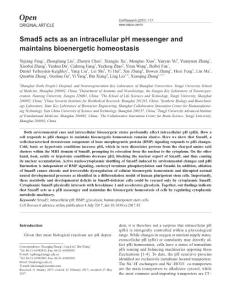 cr201785a-Smad5 acts as an intracellular pH messenger and maintains bioenergetic homeostasis