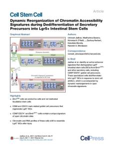 Cell Stem Cell-2017-Dynamic Reorganization of Chromatin Accessibility Signatures during Dedifferentiation of Secretory Precursors into Lgr5+ Intestinal Stem Cells