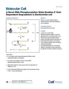 Molecular Cell-2017-A Novel RNA Phosphorylation State Enables 5′ End-Dependent Degradation in Escherichia coli