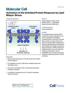 Molecular Cell-2017-Activation of the Unfolded Protein Response by Lipid Bilayer Stress
