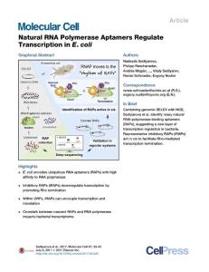Molecular Cell-2017-Natural RNA Polymerase Aptamers Regulate Transcription in E. coli