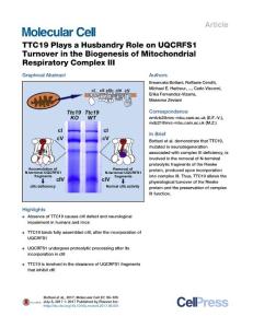 Molecular Cell-2017-TTC19 Plays a Husbandry Role on UQCRFS1 Turnover in the Biogenesis of Mitochondrial Respiratory Complex III