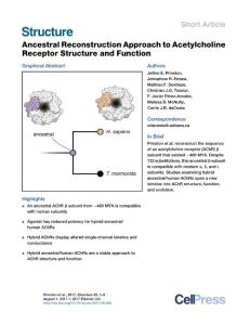 Structure-2017-Ancestral Reconstruction Approach to Acetylcholine Receptor Structure and Function