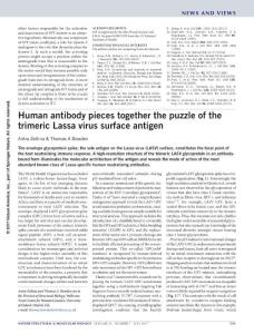 nsmb.3431-Human antibody pieces together the puzzle of the trimeric Lassa virus surface antigen