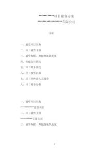 項目融資方案模板