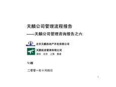 天圖投資：天麟公司激勵體系方案——天麟公司管理咨詢報告之六.ppt