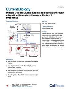 Current Biology-2017-Muscle Directs Diurnal Energy Homeostasis through a Myokine-Dependent Hormone Module in Drosophila