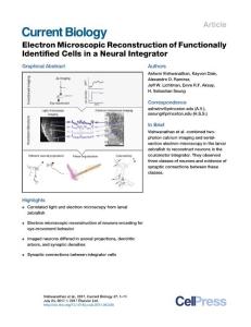 Current-Biology_2017_Electron-Microscopic-Reconstruction-of-Functionally-Identified-Cells-in-a-Neural-Integrator