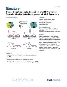 Structure_2017_Direct-Spectroscopic-Detection-of-ATP-Turnover-Reveals-Mechanistic-Divergence-of-ABC-Exporters