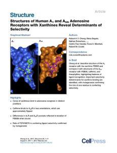Structure_2017_Structures-of-Human-A1-and-A2A-Adenosine-Receptors-with-Xanthines-Reveal-Determinants-of-Selectivity