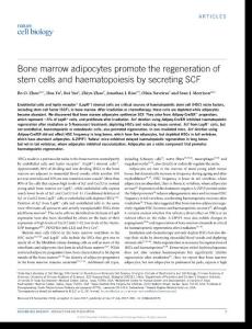 ncb3570-Bone marrow adipocytes promote the regeneration of stem cells and haematopoiesis by secreting SCF
