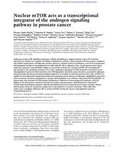 Genes Dev.-2017-Audet-Walsh-Nuclear mTOR acts as a transcriptional integrator of the androgen signaling pathway in prostate cancer