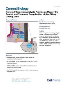 Current BIology-2017-Protein Interaction Analysis Provides a Map of the Spatial and Temporal Organization of the Ciliary Gating Zone