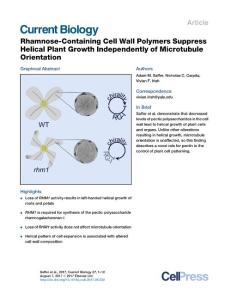 Current Biology-2017-Rhamnose-Containing Cell Wall Polymers Suppress Helical Plant Growth Independently of Microtubule Orientation