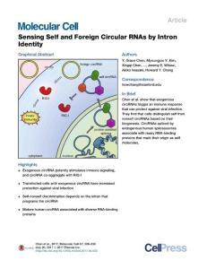 Molecular Cell-2017-Sensing Self and Foreign Circular RNAs by Intron Identity