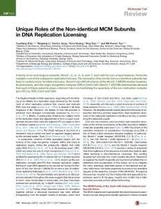 Molecular Cell-2017-Unique Roles of the Non-identical MCM Subunits in DNA Replication Licensing
