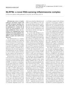 cr201793a-NLRP9b- a novel RNA-sensing inflammasome complex