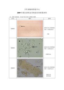 2009年卫生部尿液有形成分形态学检查室间质量评价