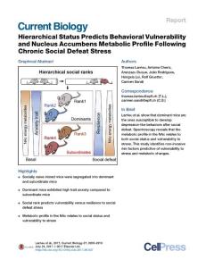 Current-Biology_2017_Hierarchical-Status-Predicts-Behavioral-Vulnerability-and-Nucleus-Accumbens-Metabolic-Profile-Following-Chronic-Social-Defeat-Str