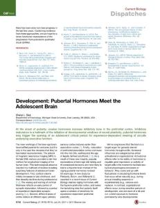 Current-Biology_2017_Development-Pubertal-Hormones-Meet-the-Adolescent-Brain