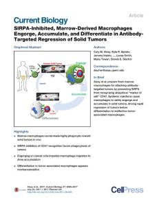 Current-Biology_2017_SIRPA-Inhibited-Marrow-Derived-Macrophages-Engorge-Accumulate-and-Differentiate-in-Antibody-Targeted-Regression-of-Solid-Tumors