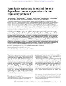 Genes Dev.-2017-Zhang-Ferredoxin reductase is critical for p53- dependent tumor suppression via iron regulatory protein 2