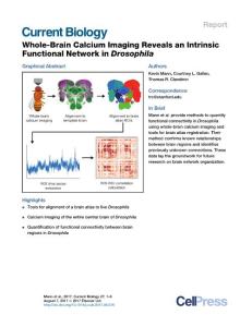 Current-Biology_2017_Whole-Brain-Calcium-Imaging-Reveals-an-Intrinsic-Functional-Network-in-Drosophila