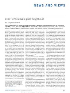 ncb3584-CTCF fences make good neighbours