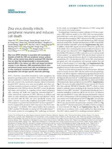 nn.4612-Zika virus directly infects peripheral neurons and induces cell death