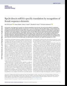 nsmb.3442-Rps26 directs mRNA-specific translation by recognition of Kozak sequence elements