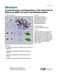 Structure_2017_Crystal-Structure-and-Regulation-of-the-Citrus-Pol-III-Repressor-MAF1-by-Auxin-and-Phosphorylation