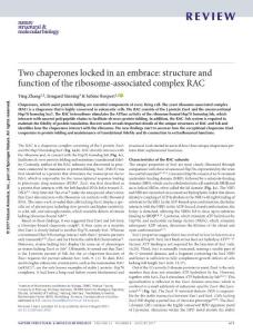 nsmb.3435-Two chaperones locked in an embrace- structure and function of the ribosome-associated complex RAC