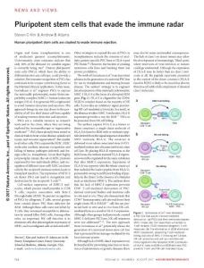 nbt.3940-Pluripotent stem cells that evade the immune radar